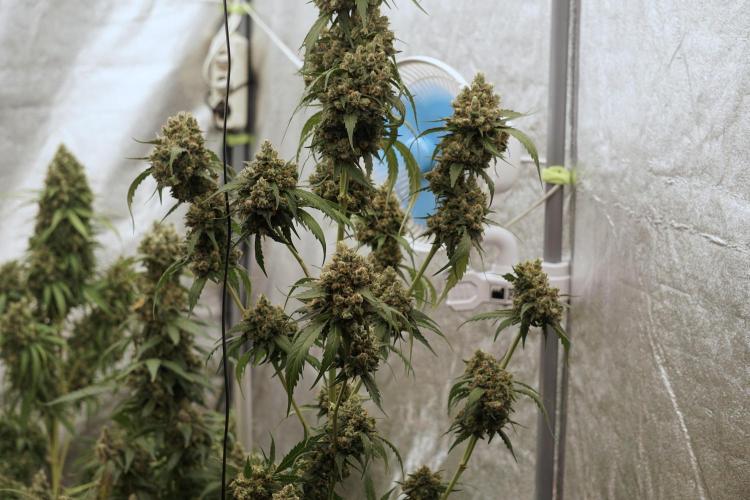 A Sudae Driver Mood. Week 13 - Sundae Driver #3