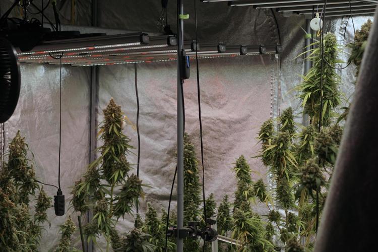 A Sudae Driver Mood. Week 13 - Photo updates 