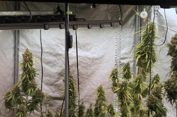 A Sudae Driver Mood. Week 13 - Photo updates 