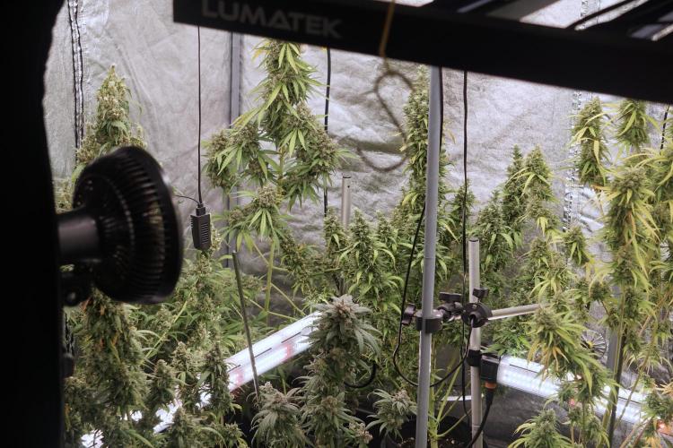 A Sudae Driver Mood. Week 13 - Photo updates 