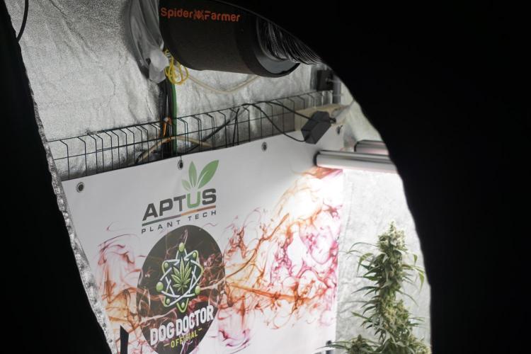 A Sudae Driver Mood. Week 13 - Photo updates 