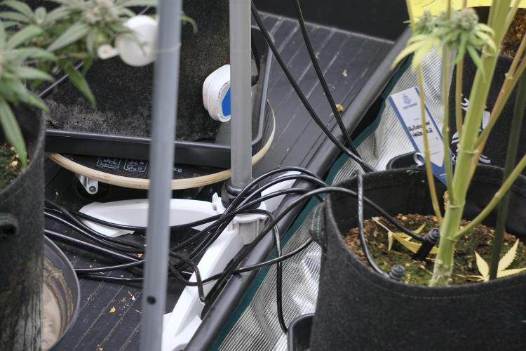 A Sudae Driver Mood. Week 13 - Photo updates 