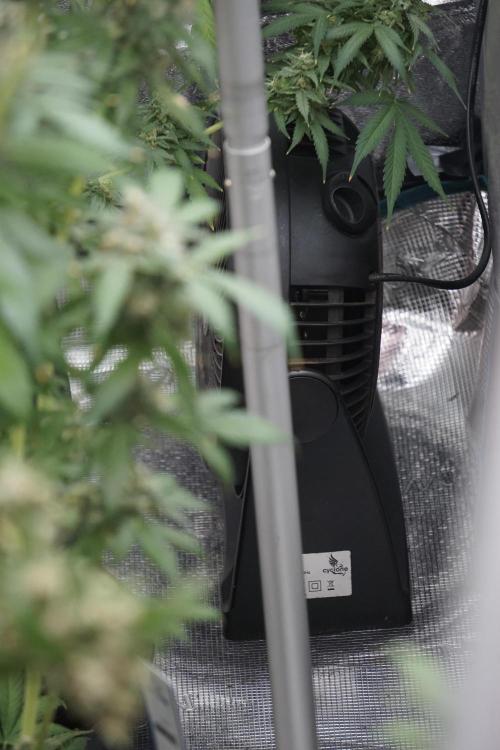 A Sudae Driver Mood. Week 13 - Photo updates 