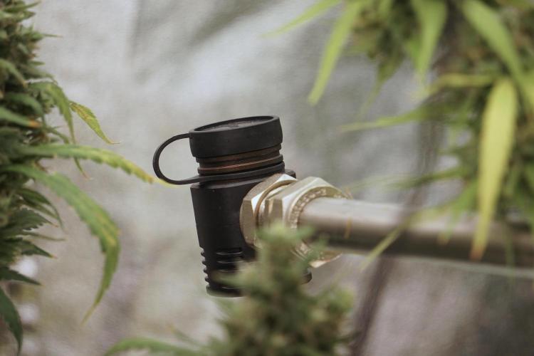 A Sudae Driver Mood. Week 13 - Photo updates 