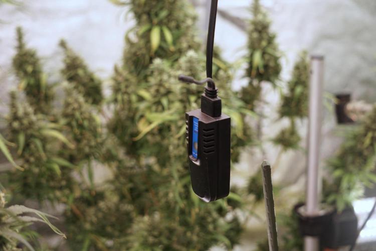 A Sudae Driver Mood. Week 13 - Photo updates 