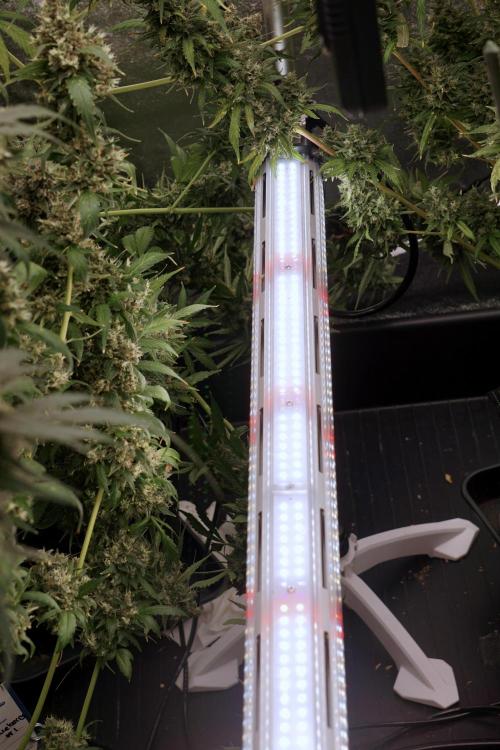 A Sudae Driver Mood. Week 13 - Photo updates 