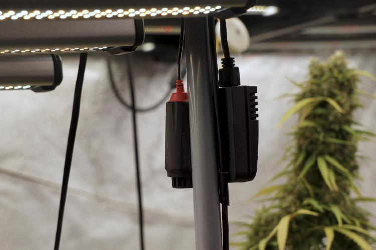 A Sudae Driver Mood. Week 13 - Photo updates 