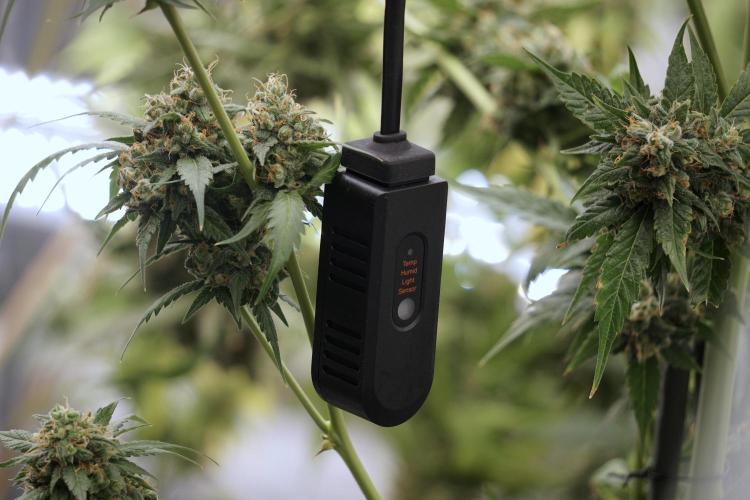 A Sudae Driver Mood. Week 13 - Photo updates 