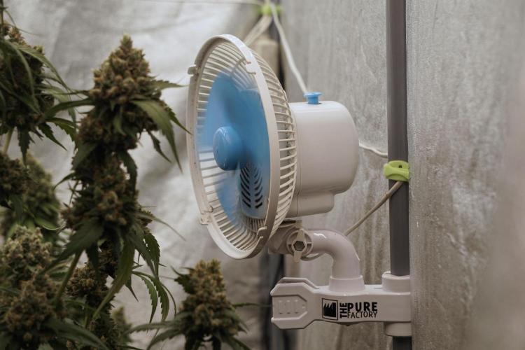 A Sudae Driver Mood. Week 13 - Photo updates 