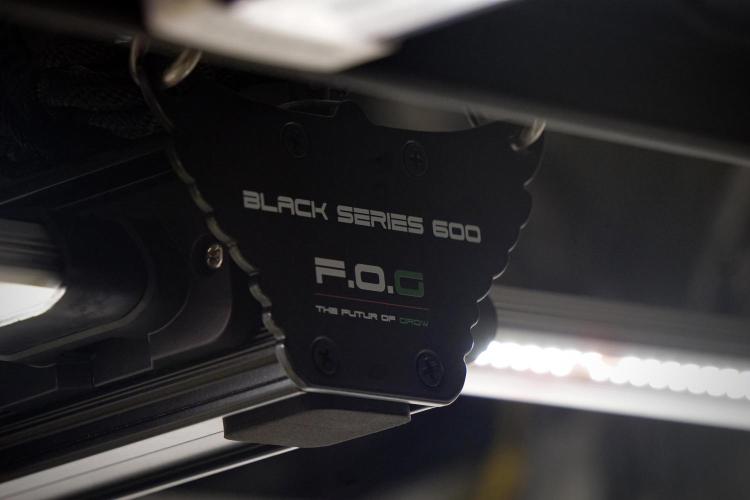 A Sudae Driver Mood. Week 13 - Photo updates 