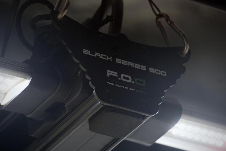 A Sudae Driver Mood. Week 13 - Photo updates 