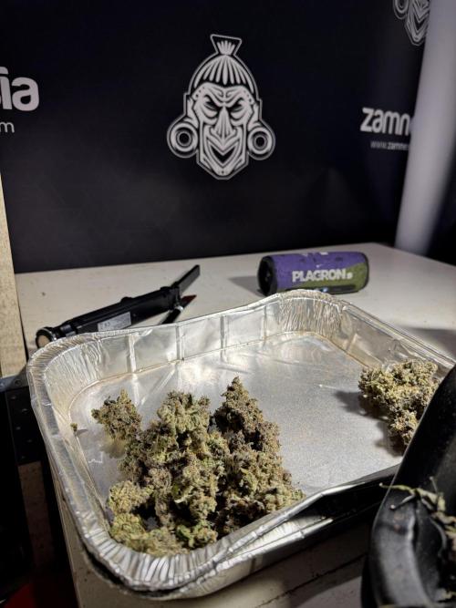 White Widow @Zamanesia-Playing classics. Week 13 - White Widow Trim Day 