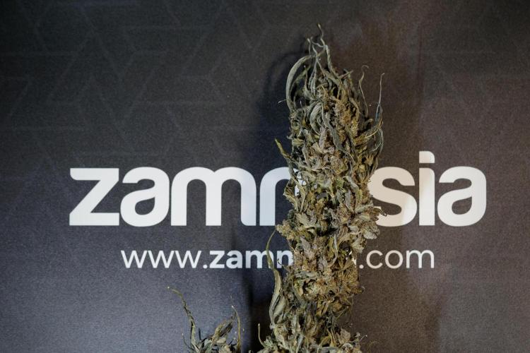 White Widow @Zamanesia-Playing classics. Week 13 - White Widow Trim Day 