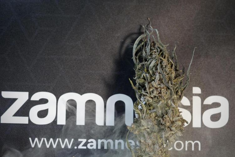 White Widow @Zamanesia-Playing classics. Week 13 - White Widow Trim Day 