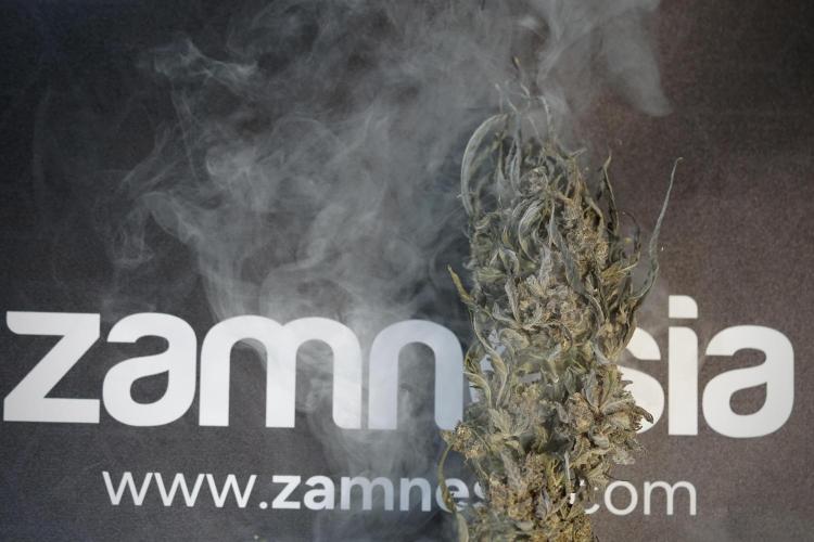 White Widow @Zamanesia-Playing classics. Week 13 - White Widow Trim Day 