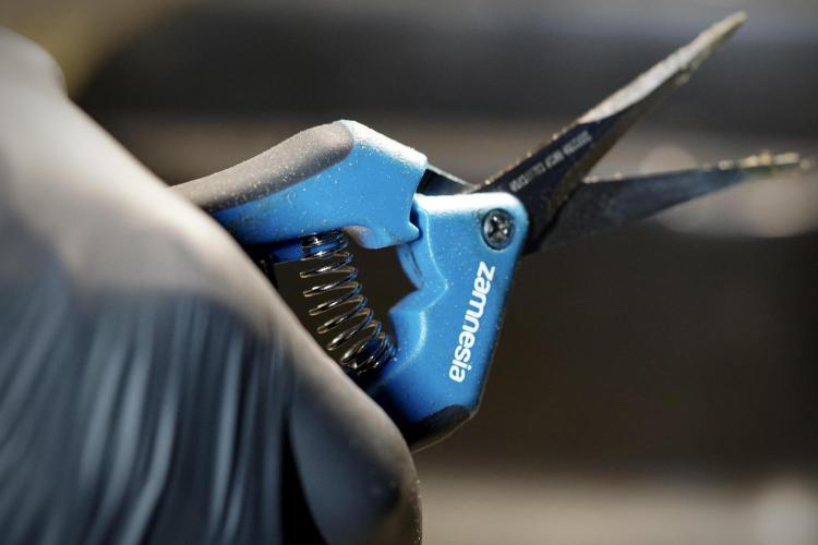 White Widow @Zamanesia-Playing classics. Week 13 - White Widow Trim Day 