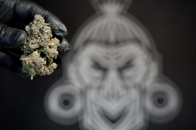 White Widow @Zamanesia-Playing classics. Week 13 - White Widow Trim Day 