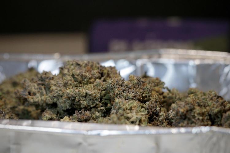 White Widow @Zamanesia-Playing classics. Week 13 - White Widow Trim Day 