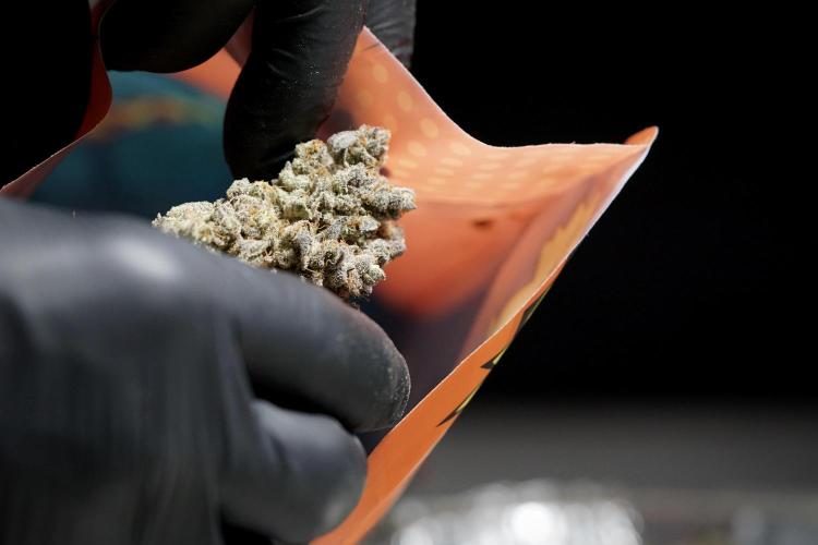 White Widow @Zamanesia-Playing classics. Week 13 - White Widow 