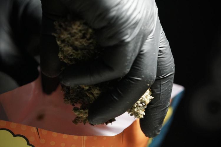 White Widow @Zamanesia-Playing classics. Week 13 - White Widow 