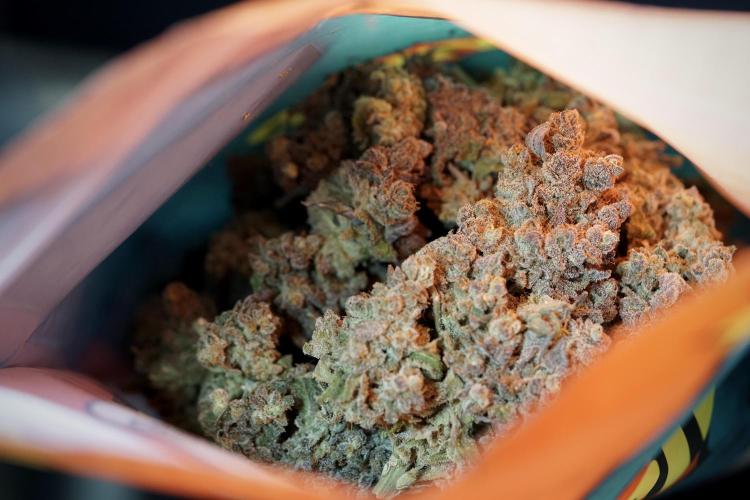 White Widow @Zamanesia-Playing classics. Week 13 - White Widow 