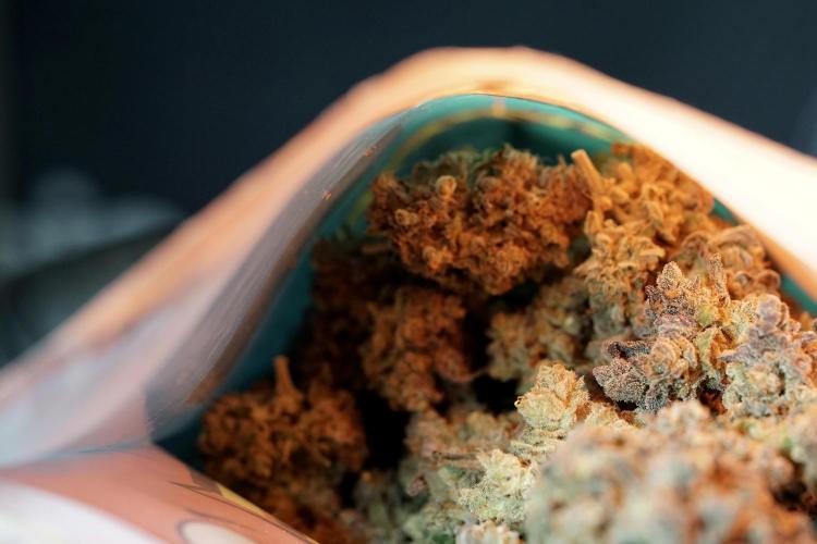 White Widow @Zamanesia-Playing classics. Week 13 - White Widow 