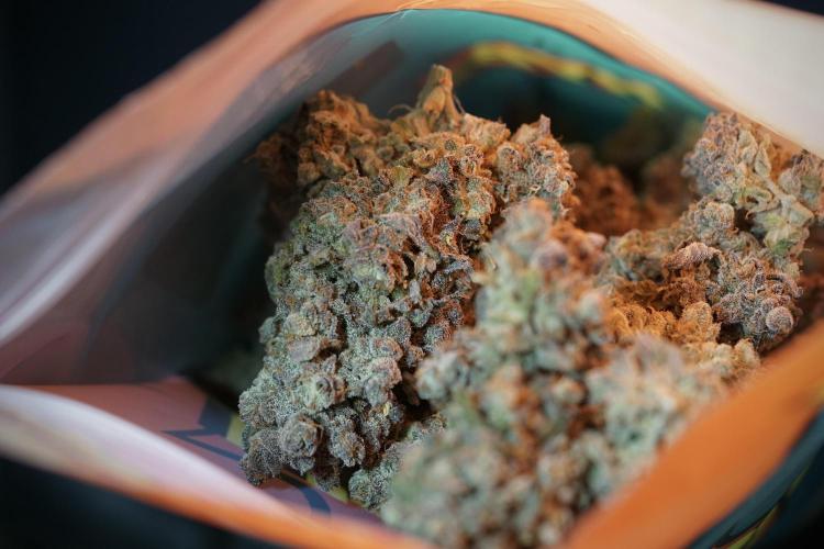 White Widow @Zamanesia-Playing classics. Week 13 - White Widow 