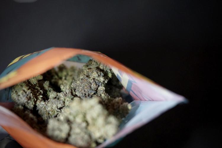 White Widow @Zamanesia-Playing classics. Week 13 - White Widow 