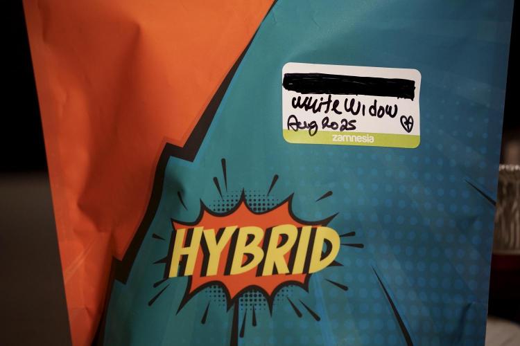 White Widow @Zamanesia-Playing classics. Week 13 - White Widow 