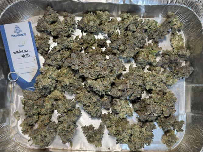 White Widow @Zamanesia-Playing classics. Week 13 - White Widow trim day