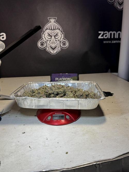 White Widow @Zamanesia-Playing classics. Week 13 - final numbers