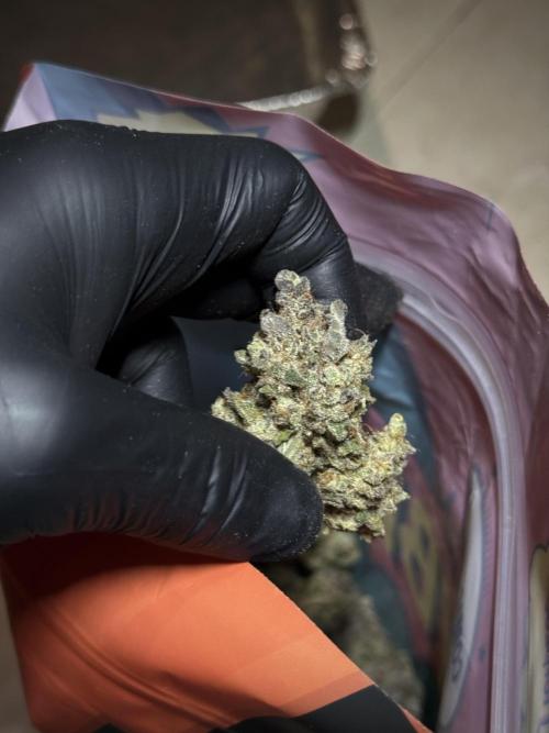 White Widow @Zamanesia-Playing classics. Week 13 - White Widow 