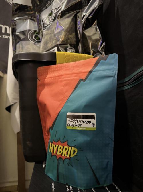 White Widow @Zamanesia-Playing classics. Week 13 - White Widow 