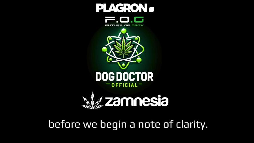 White Widow @Zamanesia-Playing classics