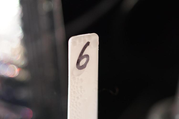 TicaL X Zamnesia-NectarDrip pack#268/750. Week 1 - week 1