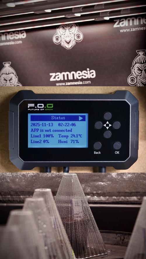 TicaL X Zamnesia-NectarDrip pack#268/750. Week 1 - week 1