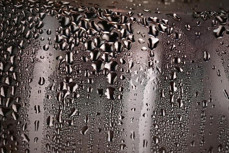 TicaL X Zamnesia-NectarDrip pack#268/750. Week 1 - condensation 