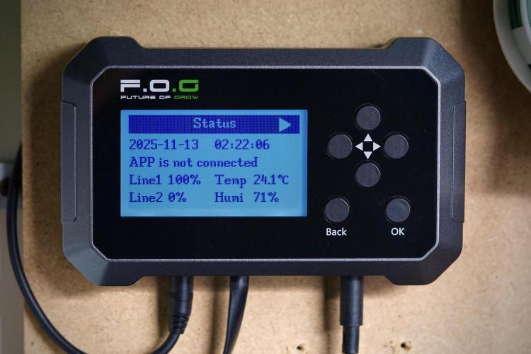 TicaL X Zamnesia-NectarDrip pack#268/750. Week 1 - Room Vibes