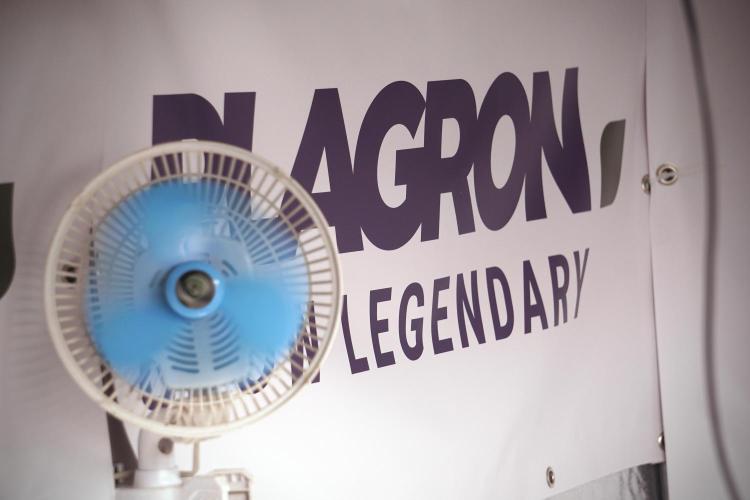 TicaL X Zamnesia-NectarDrip pack#268/750. Week 1 - Room Vibes