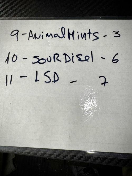 LSD Zamnesia Trippping. Week 0 - notes