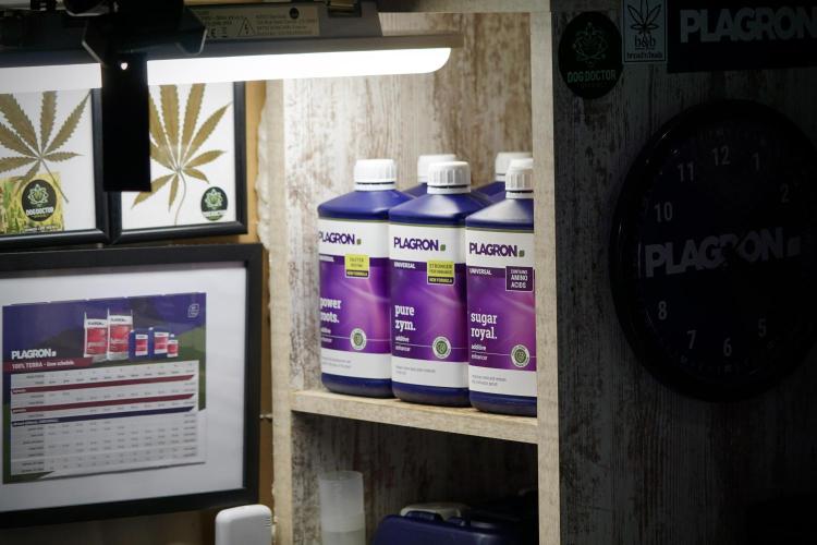 LSD Zamnesia Trippping. Week 0 - Room and Gear 