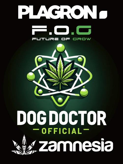 LSD Zamnesia Trippping. Week 0 - Diary Sponsors 