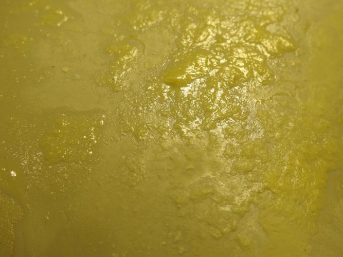 BHO Extraction. Week 12 - Extracting Gold with BHO