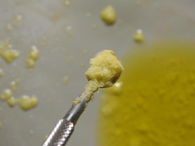 BHO Extraction. Week 12 - Extracting Gold with BHO