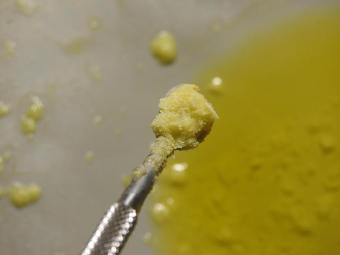 BHO Extraction. Week 12 - Extracting Gold with BHO