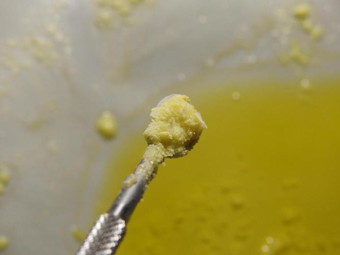 BHO Extraction. Week 12 - Extracting Gold with BHO