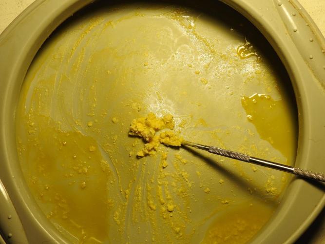 BHO Extraction. Week 12 - Extracting Gold with BHO