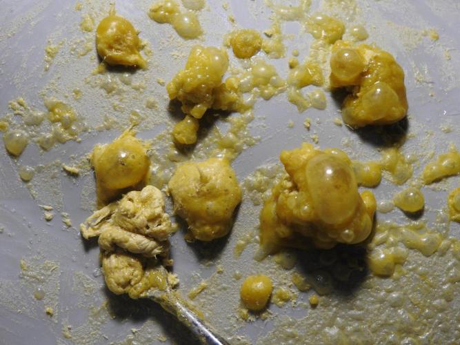 BHO Extraction. Week 12 - Extracting Gold with BHO