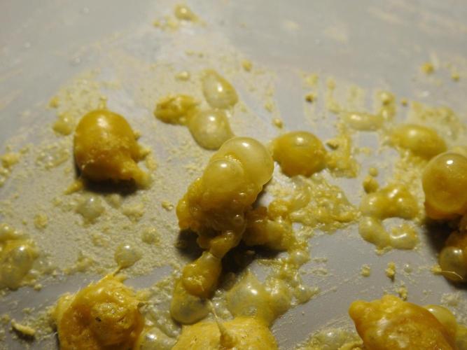 BHO Extraction. Week 12 - Extracting Gold with BHO