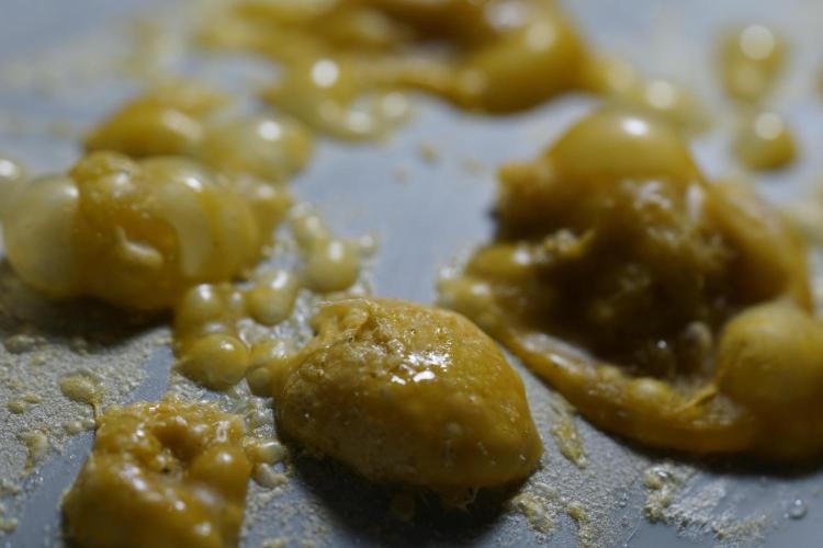 BHO Extraction. Week 12 - Extracting Gold with BHO